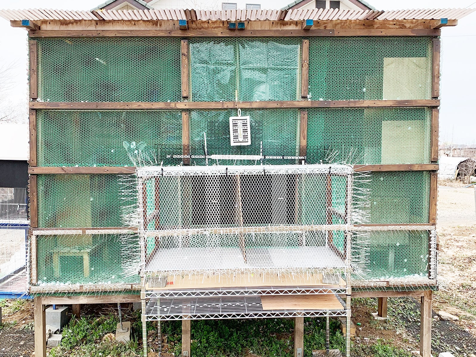 鳩舎の写真です