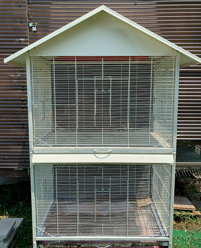 鳩舎の写真です