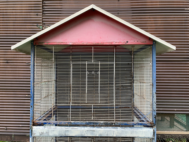 鳩舎の写真です